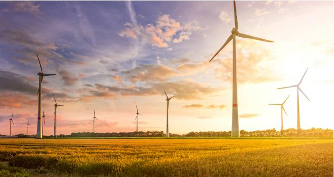 ISCC認證對可持續農業糧食和食品安全包括范圍