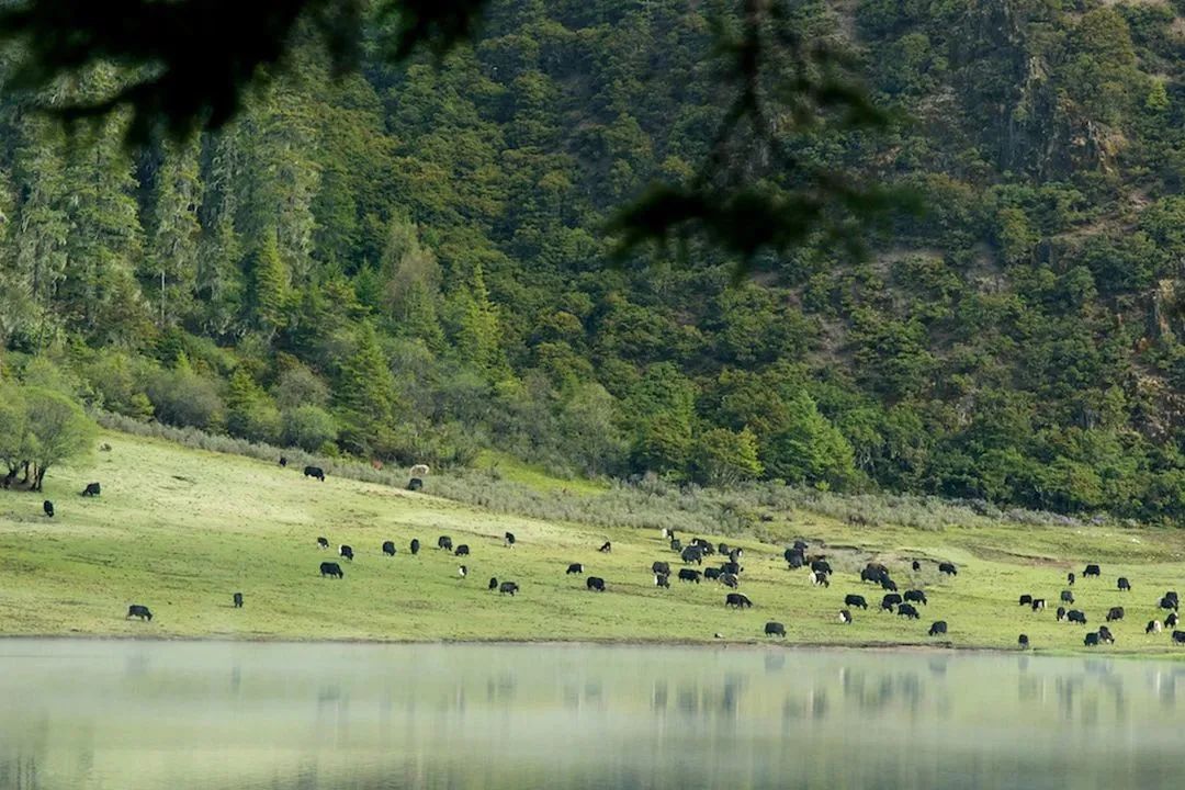 CBAM碳關稅對覆蓋行業(yè)相關產(chǎn)品碳排放過渡期申請標準
