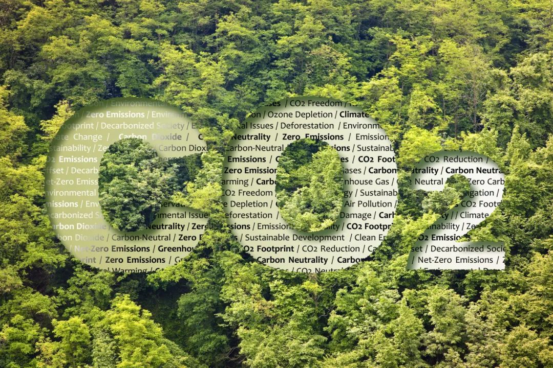 ecovadis社會(huì)責(zé)任對(duì)企業(yè)碳預(yù)算排放標(biāo)準(zhǔn)方案工具