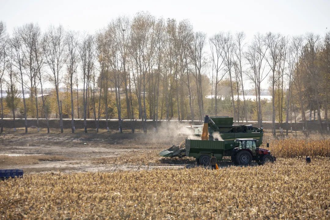 CDP碳披露對公司碳排放報告申請標準評分要求