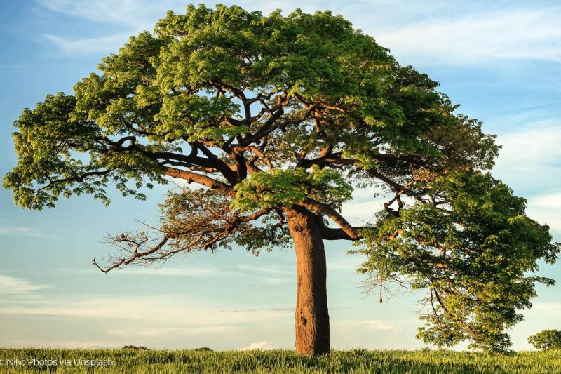 SBTi科學碳目標對企業申請目標設定碳減排界定要求