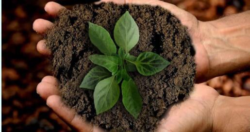 sbti科學碳排放企業自動設立目標范圍排放標準