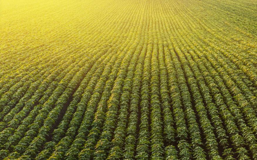 ecovadis社會責任評級對可持續發展企業公司規范標準