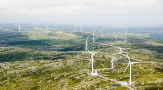 ecovadis社會責任評級對企業公司問卷填寫事項