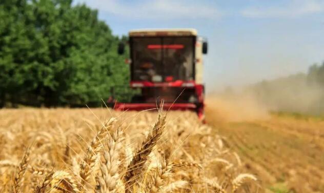 regenagri認證對國內可持續農場申請流程步驟事項