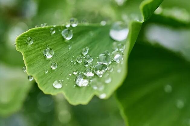 sbti科學碳目標對企業制定碳減排計劃涵蓋環節標準