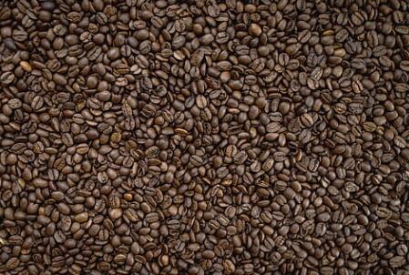 regenagri農業認證對咖啡豆種植原則可持續規劃發展