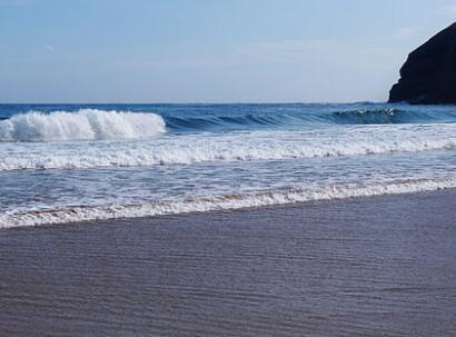 OBP海洋塑料認證對海洋廢棄有機物處理方案追溯性