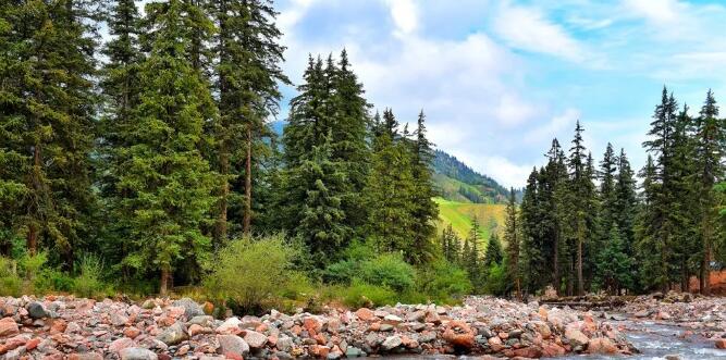 CDP碳披露對氣候轉型企業(yè)問卷披露關鍵要素標準