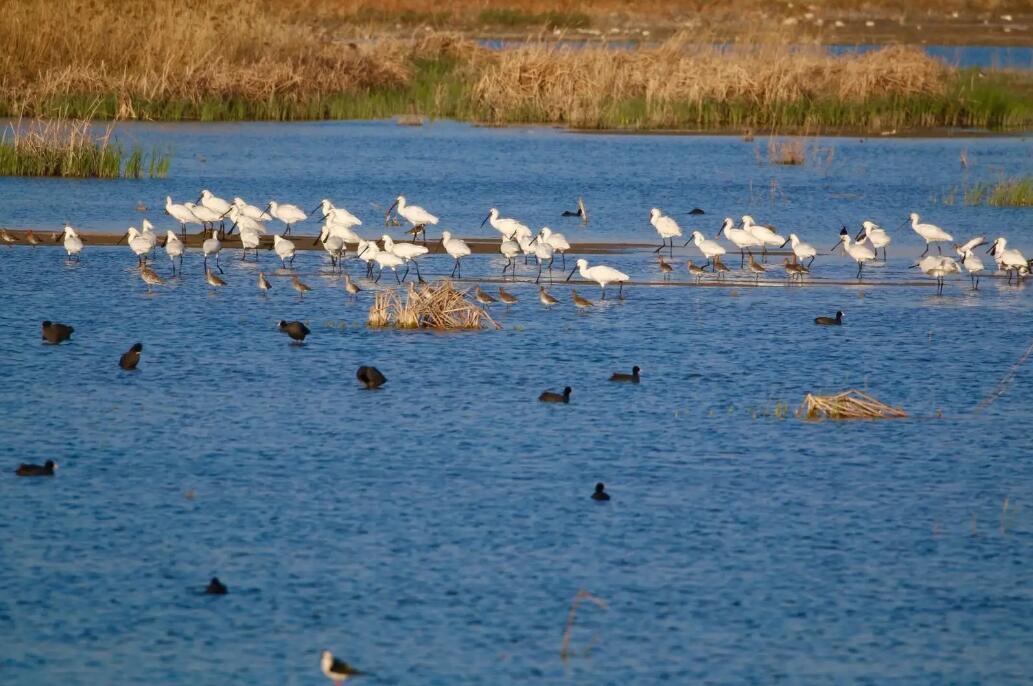 EPD環境聲明標準對企業可持續發展每個級別需要注意事項