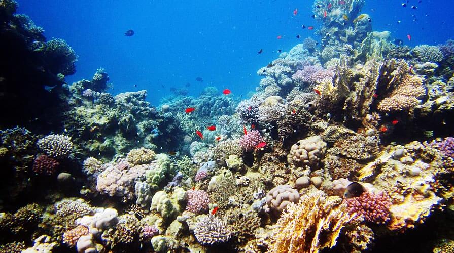 Oceancycle認證對海洋廢棄漁網垃圾回收基本標準規范