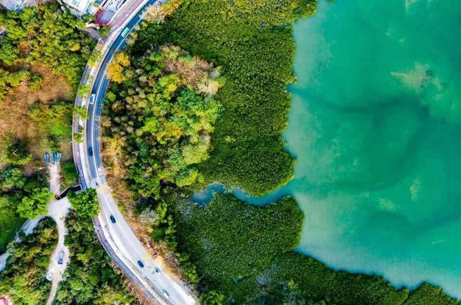 ecovadis社會責任評級對企業 環境勞工等可持續評分規范