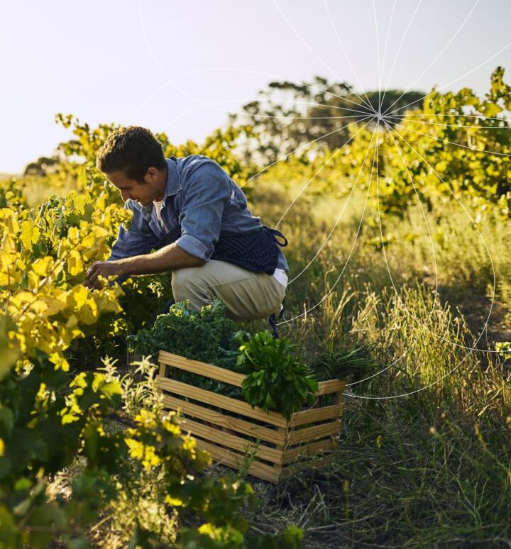 regenagri再生農業認證對種植可持續土壤環境包含標準要求