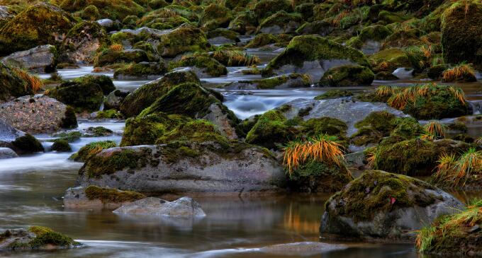 EUDR歐盟零毀林法案對全球森林監測組件提供交互式可視化規范