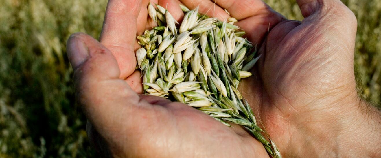 Regenagri再生農業對農場實施再生種植可持續碳排放目標