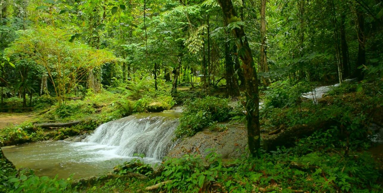 EPD環境聲明標準對企業工廠申請需要哪些資料流程