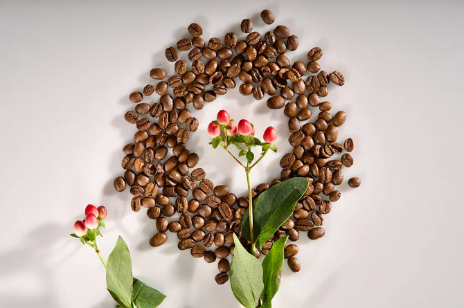 EUDR認證對可持續咖啡豆種植推動了整個產業可持續發展