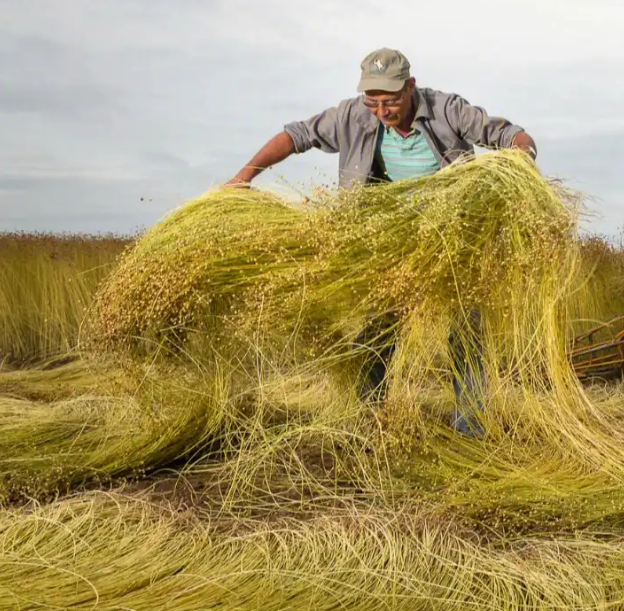 歐洲亞麻認證對紡織服裝企業加工初次審核注意事項