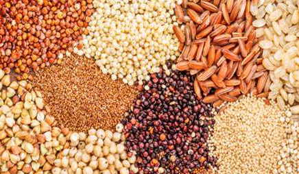 eudr歐盟零毀林法案對出口產品或將延期實施需注意事項