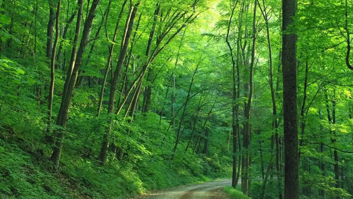 EPD環境產品聲明機制對涵蓋行業范圍適用可持續關鍵標準工具