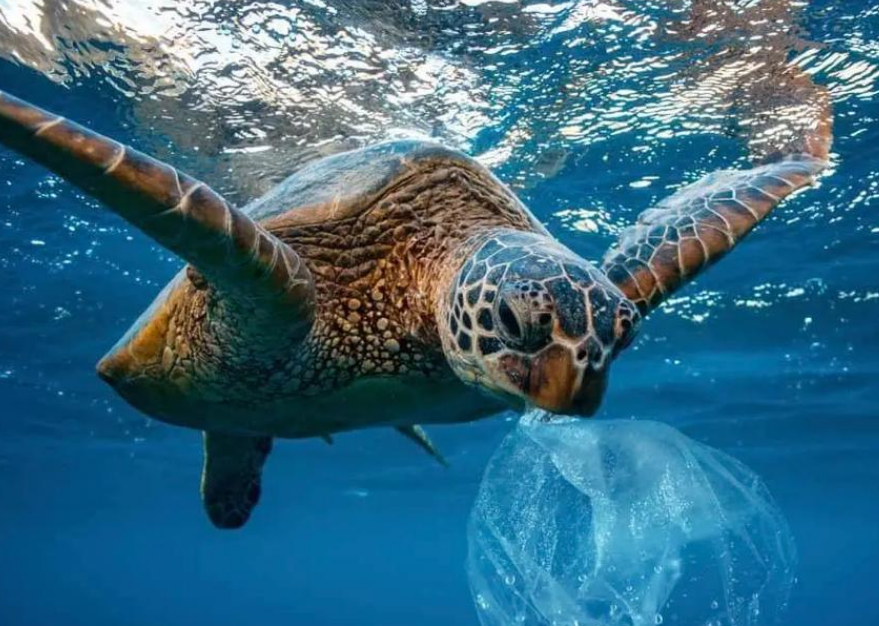 OCI海洋回收材料認證的基本標準主要包括來源范圍標準