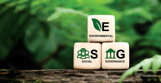 esg報告對可持續發展企業公司信息披露制定策略規范標準