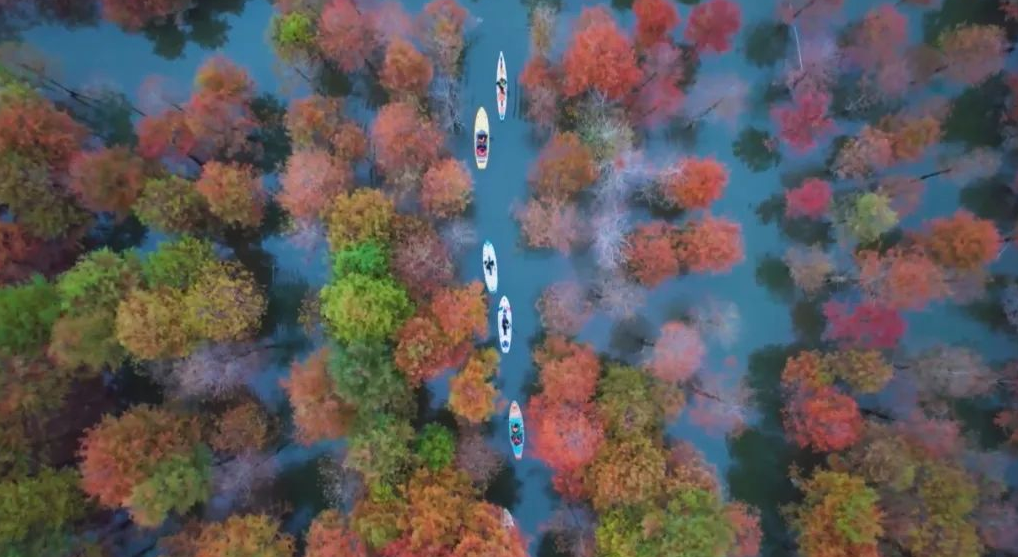 EPD環(huán)境產(chǎn)品聲明標(biāo)準(zhǔn)對(duì)適用產(chǎn)品行業(yè)評(píng)估報(bào)告基本要求