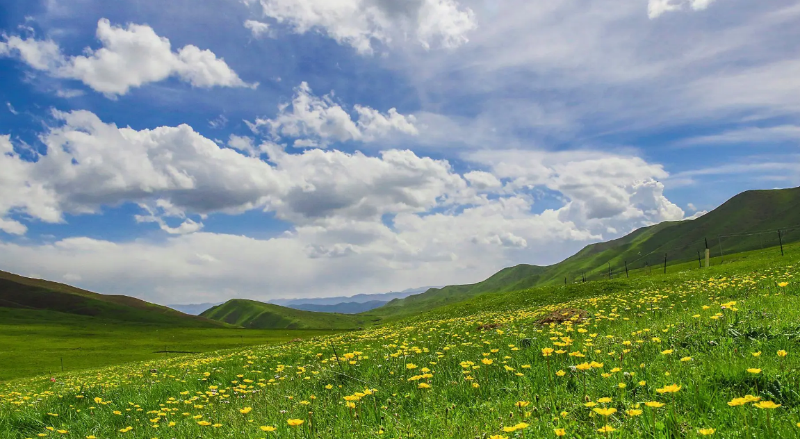 PAS2060碳中和對(duì)企業(yè)工廠溫室碳排放碳額度計(jì)算方式