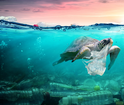 OC海洋回收材料認證理念管理對可持續行業發展要求標準