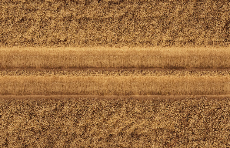 歐洲亞麻認證對亞麻種植企業及外包商管理追溯要求標準