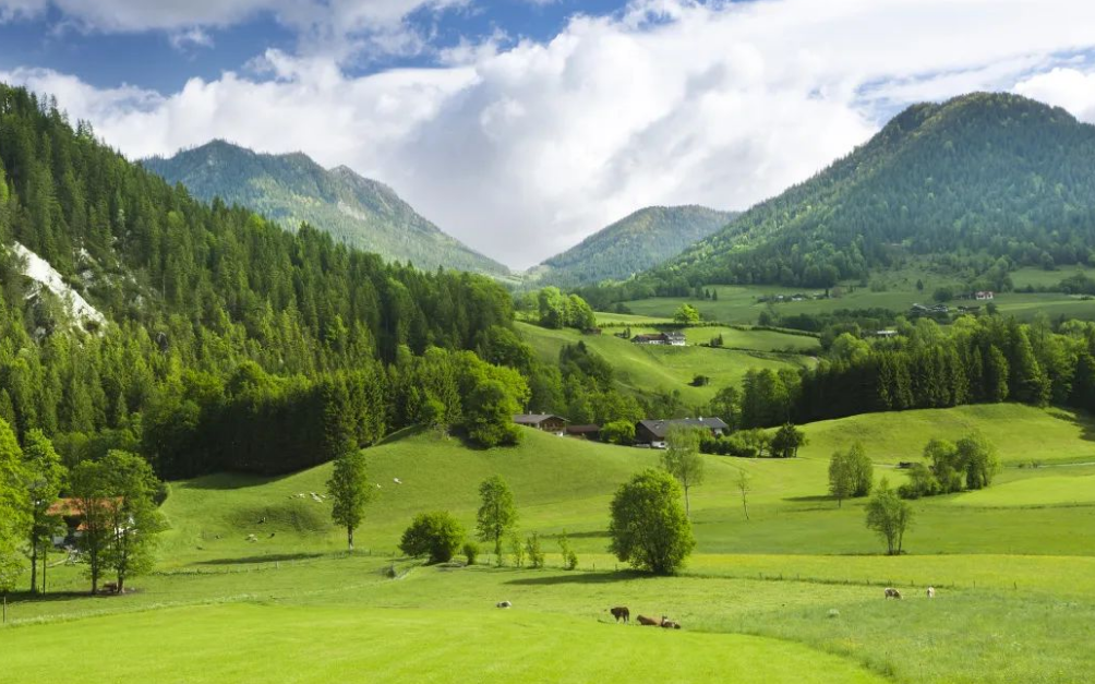 CDP碳披露對企業溫室氣體碳排放評分標準主要范圍標準