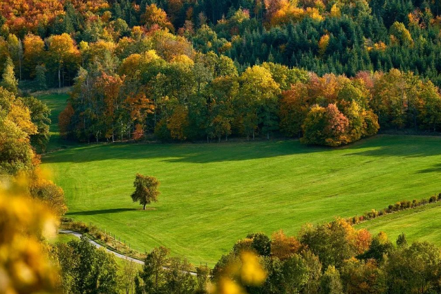 CDP碳披露項目對全球市場環(huán)境問卷評估問卷變化評分標(biāo)準(zhǔn)