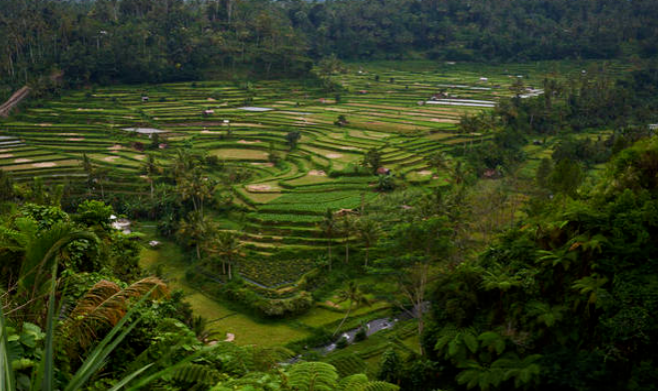 FSSC22000認證對中小企業食品供應鏈申請準備管理體系標準