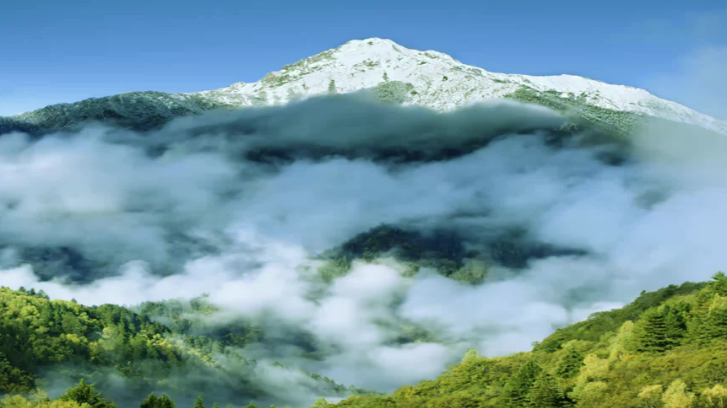 eudr歐盟零毀林法案對企業相關產品出口須明確供應鏈追溯信息來源