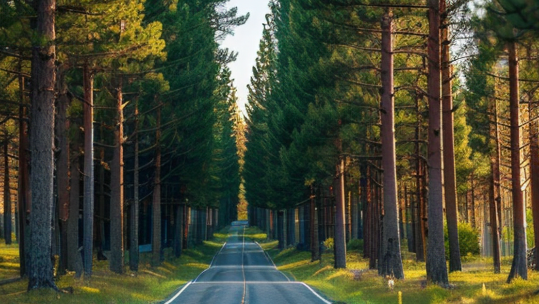 eudr歐盟零毀林法案對(duì)全球農(nóng)產(chǎn)品出口供應(yīng)鏈調(diào)查風(fēng)險(xiǎn)法規(guī)流程