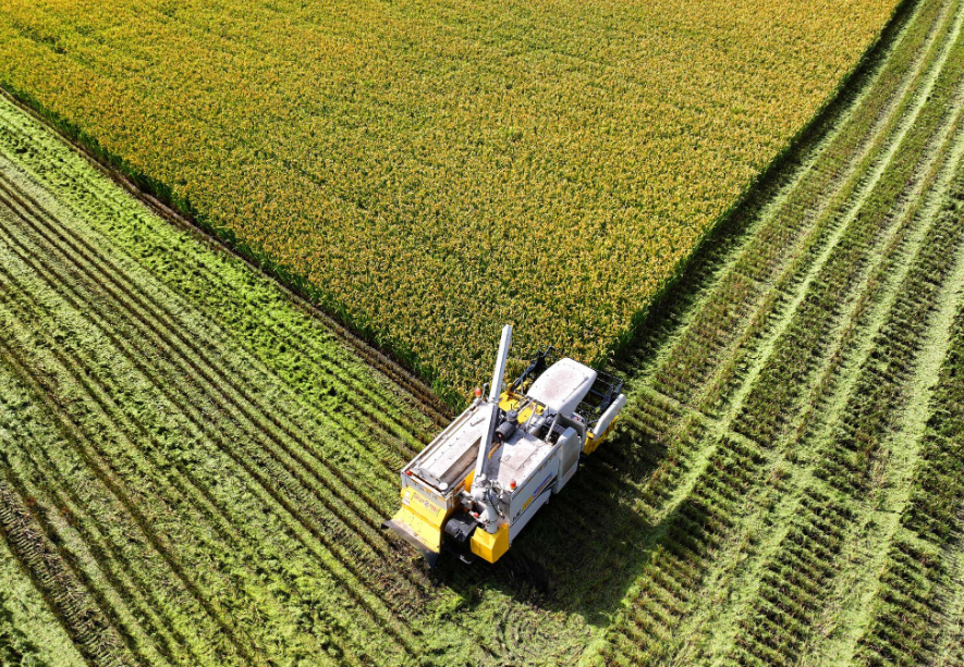 regenagri認證對可再生農業產品適用追溯性標準聲明標準