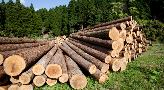 eudr歐盟零毀林法案?對適用范圍行業(yè)豁免及核心要求標準