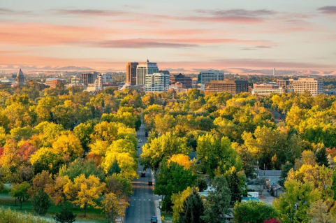 Regenagri認證對可持續(xù)產(chǎn)品種植監(jiān)管適用標準溫室碳排放多樣性