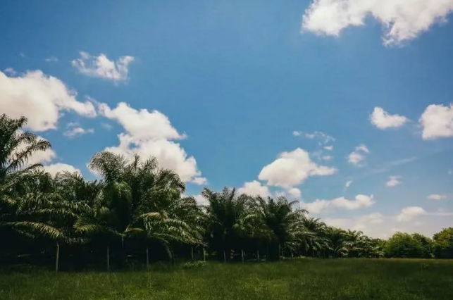 CDP?碳披露對企業工廠申報問卷評分數據框架標準