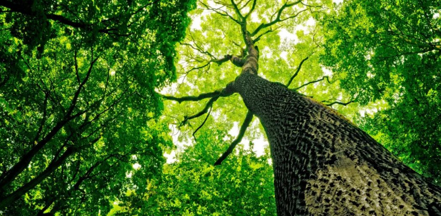 EPD環境產品聲明對企業工廠申請常見類型生命周期步驟