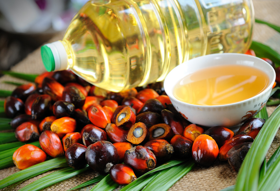 FSSC22000認證對食品生產企業覆蓋核心要求標準