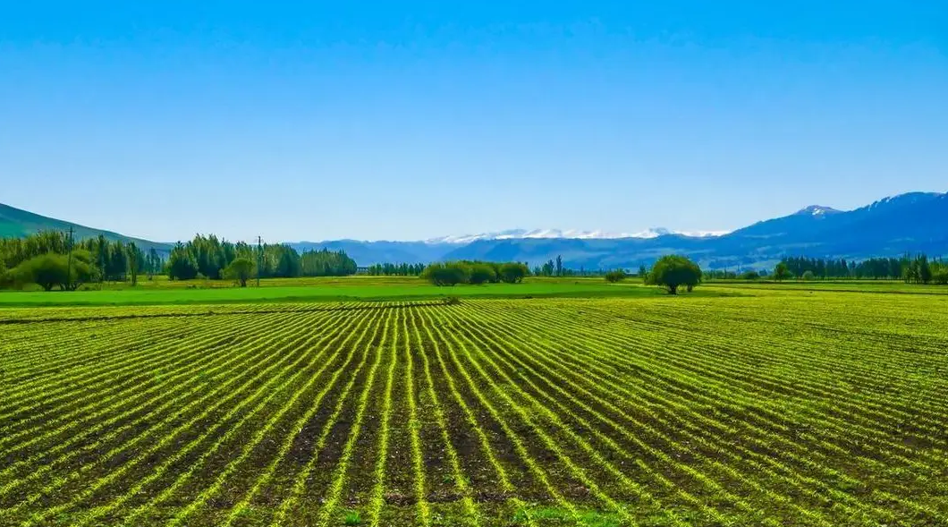 從CDP碳披露問卷評估看國內(nèi)企業(yè)供應鏈碳排綠色新準則