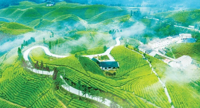 ecovadis社會責任對企業四個維度體系評估可持續發展