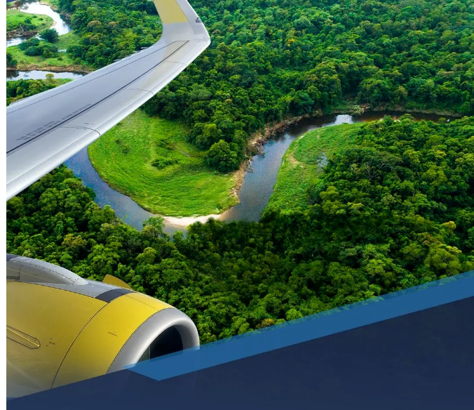 eudr歐盟零毀林法案對適用涵蓋產品碳減排綠色轉型標準