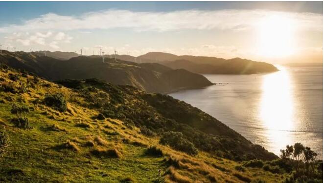 eudr對天然橡膠種植生成風險基準體系盡職調查碳減排