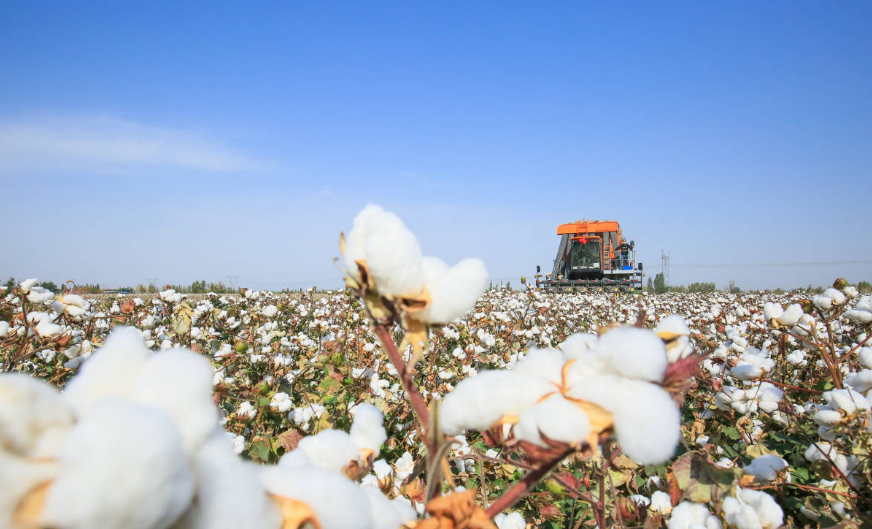 實物良好棉花操作企業需完成的強制性BCICoC認證新增要求
