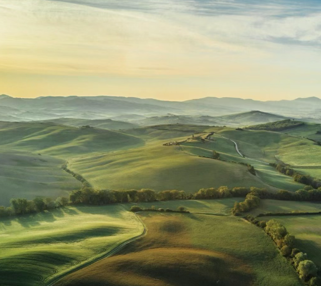 Regenagri再生農業認證對種植行業監管管理標準事項