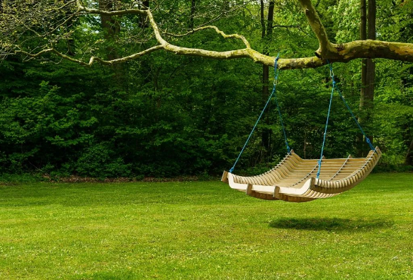 RSPO棕櫚油認證對適用范圍行業推動可持續方向轉型