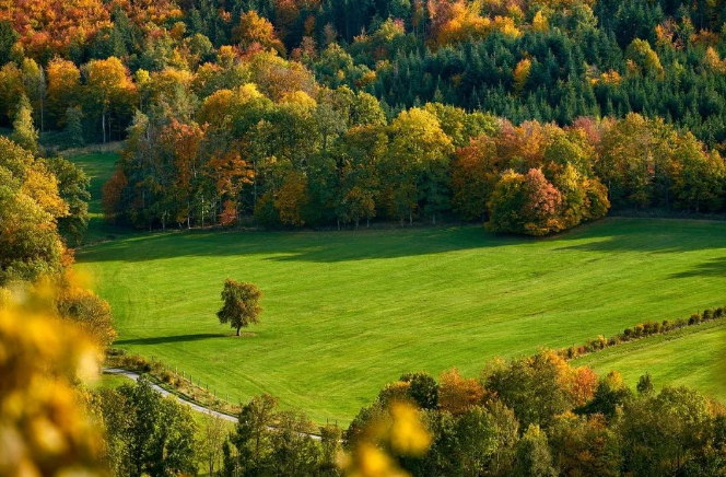 eudr歐盟零毀林對農業領域可持續生產加工環節碳減排標準