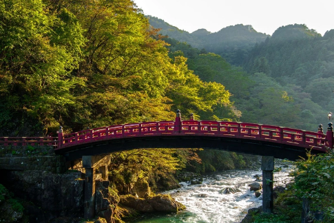regenagri認證對農業生產種植綠色轉型碳減排追溯體系